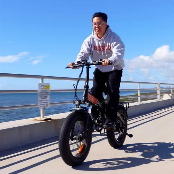City Electric Bike - Image 2